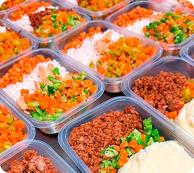 Monte seu cardápio - Nonna Fit