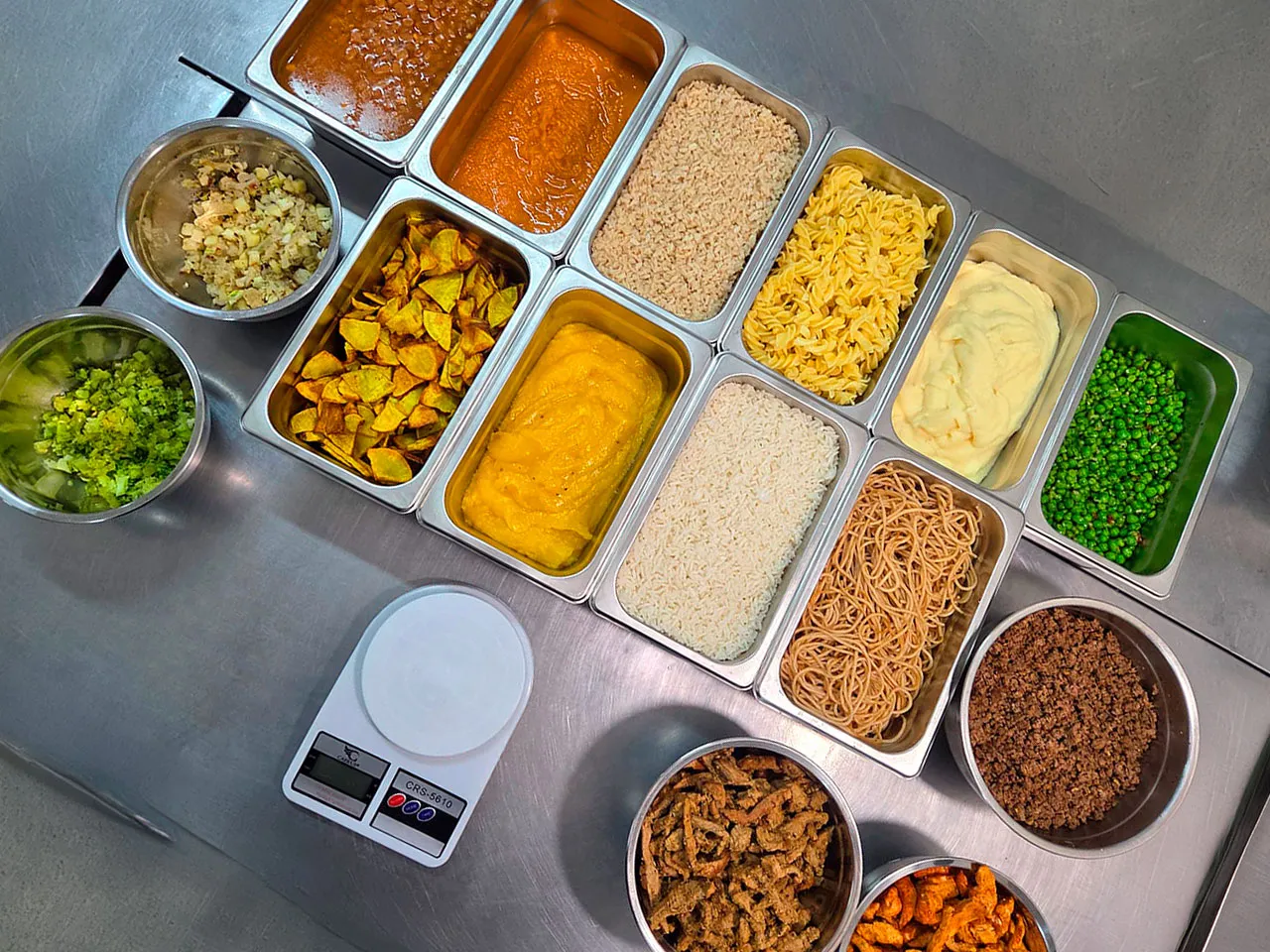 Plano de refeições personalizadas pelo seu nutricionista